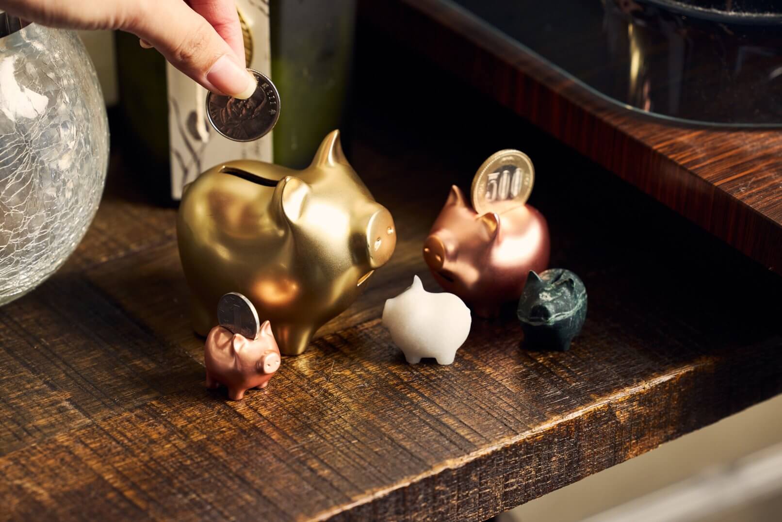 金豬GOLDENPIG