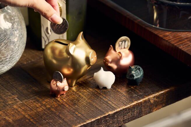金豬GOLDENPIG